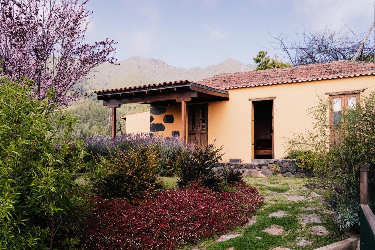 הוילה טיחראפה Casa Elena מראה חיצוני תמונה